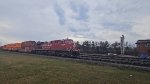CP 8174